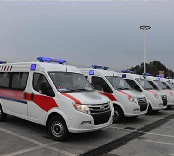 隆安县服务车队展示